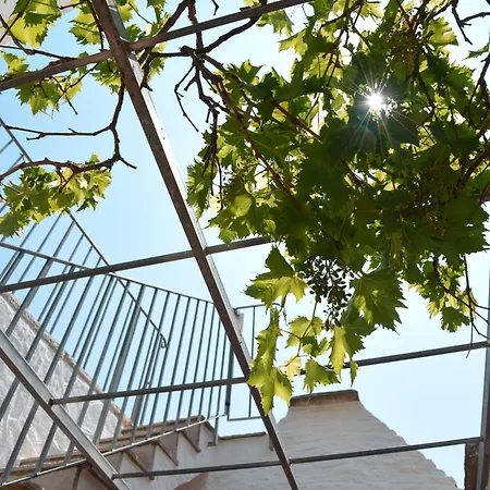 Trullo Mameli - Diemme *