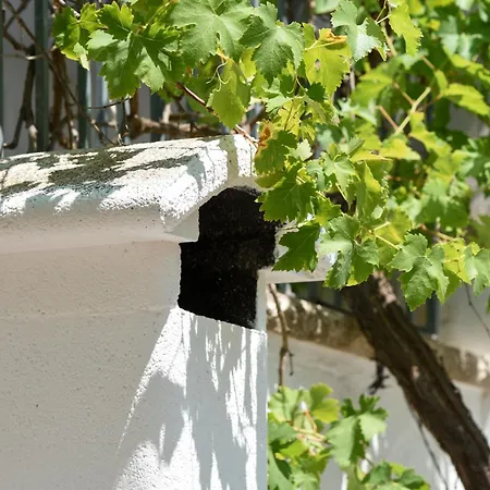 Trullo Mameli - Diemme *